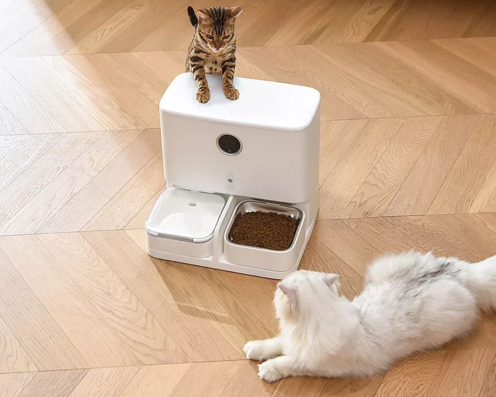 the best automatic pet feeder