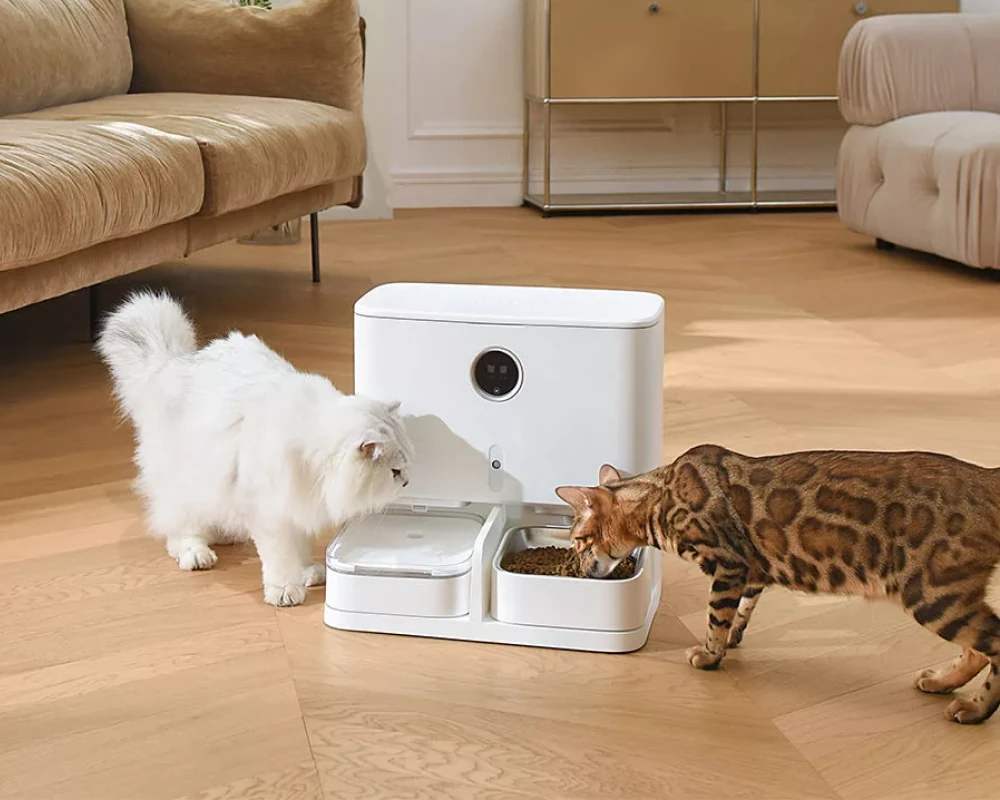 pet food dispensers